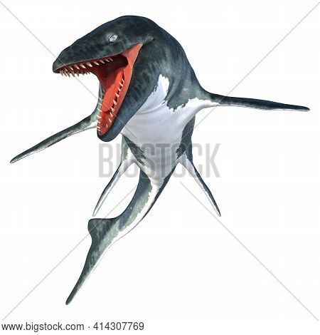 3D Rendering Mosasaur On White