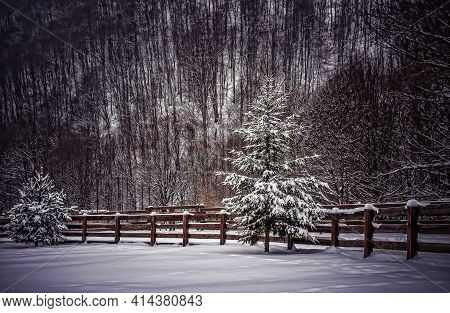 A Shot Of An Old And Beautiful Fence In Winter