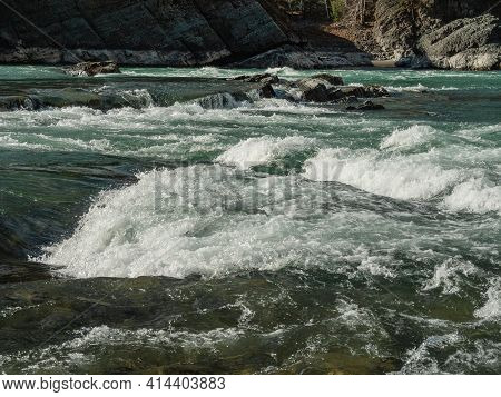 Altai Mountains In Autumn. Katun River. Elandinsky Rapids.