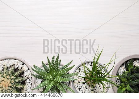 Different House Plants In Pots On White Wooden Table, Flat Lay. Space For Text.