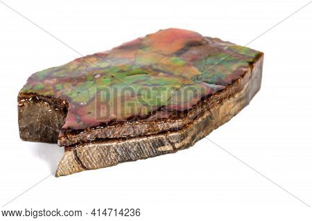 Macro Stone Ammolite Mineral On White Background