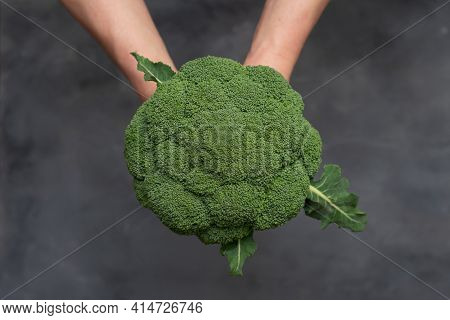 Caucasian Male Hands Holding A Fresh Green Broccoli Isolated On Gray Stone Background.