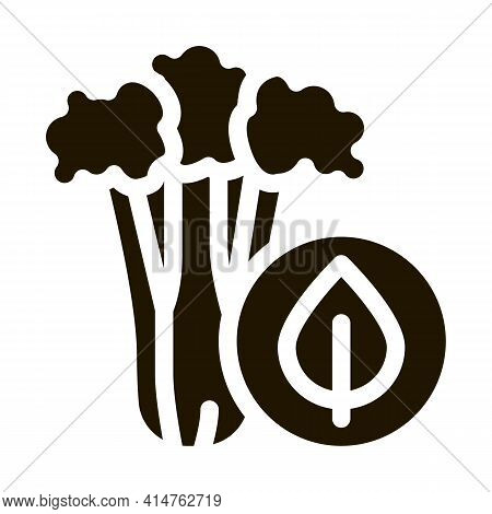 Celery Plant Glyph Icon Vector. Elery Plant Sign. Isolated Symbol Illustration