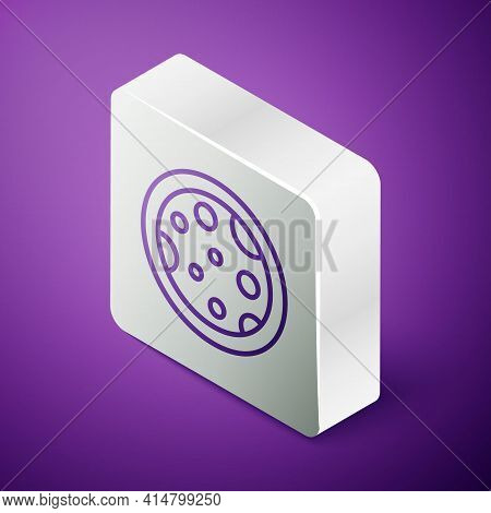 Isometric Line Petri Dish With Bacteria Icon Isolated On Purple Background. Silver Square Button. Ve