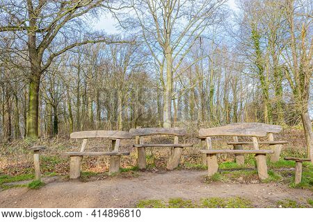 Set Of Wooden Benches On A Hill In The Dutch Countryside With Abundant Bare Trees In The Background,