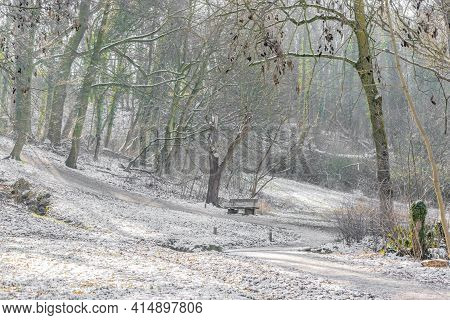 Winter Landscape In A Dutch Forest With A Snow Covered Hill With Bare Trees, A Wooden Bench Next To 