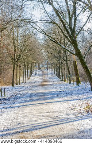 Snowy Straight Dirt Road Between Bare Trees In A Dutch Park, Sunny Winter Day In Kasteelpark Elsloo,