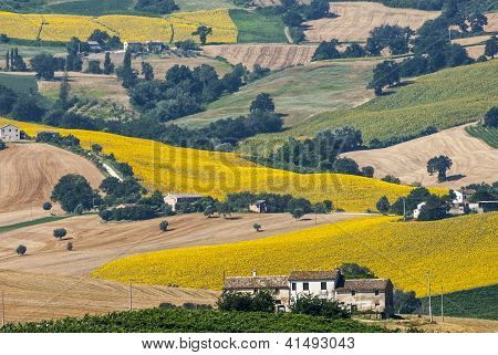 Marches (Italie) - paysage