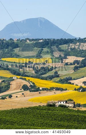 Marches (Italie), paysage