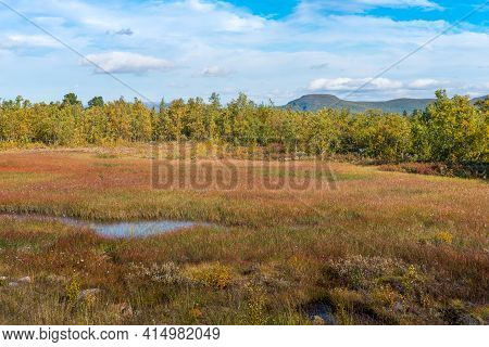 Wetland Close To Lake Deep In The Swedish Lapland. Sunny Day And Fall Colors In Abisko National Park