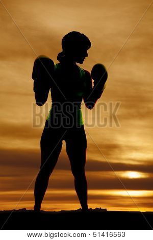 Silhouette Woman Boxing Profile
