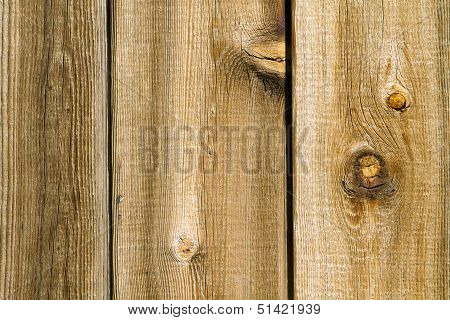 Knotty Wood Texture