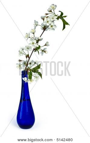 สาขาเติมแอปเปิ้ลขวดสีน้ำเงิน