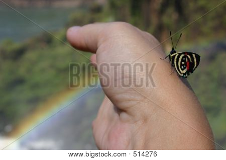 Mano farfalla arcobaleno