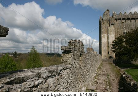 Vivono nel castello