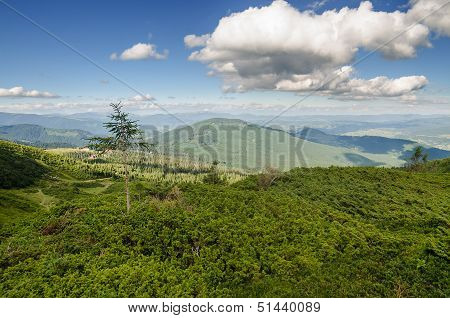 Carpathian Mountains next to Dragobrat, Ukraine