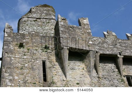 Fortificazione, il castello di Blarney