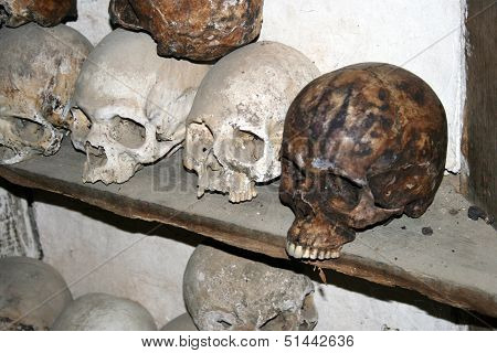 Skulls of Deceased Monks