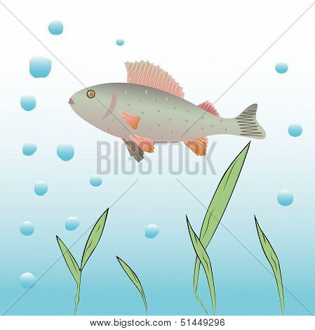 Underwater Vector Background.