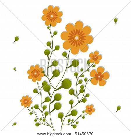Orange Flowers On Curling Stems.
