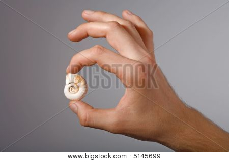 Shell In Man's Hand