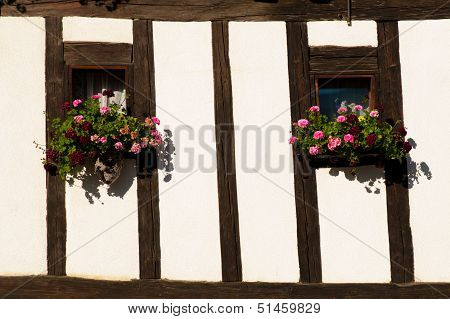 Colorful Flower Arragement on the windows of an Alpine Cabin in Austria
