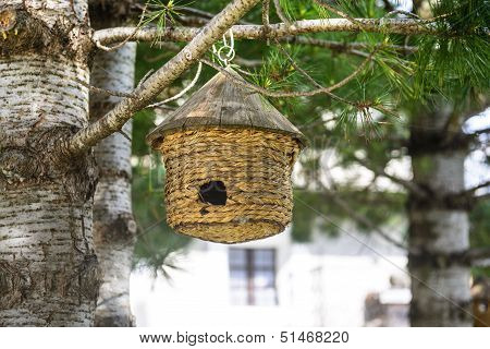 Manger For Birds