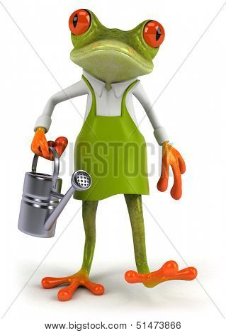 Frog gardener
