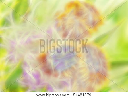 Abstract Background