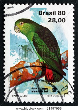 Postage Stamp Brazil 1980 Brown-backed Parrotlet, Bird
