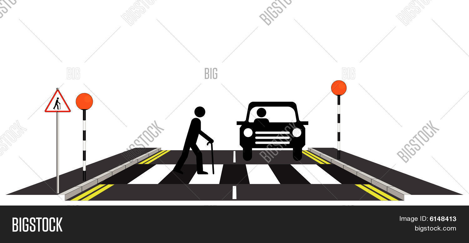 Zebra Crossing Oap Vector & Photo (Free Trial) Bigstock