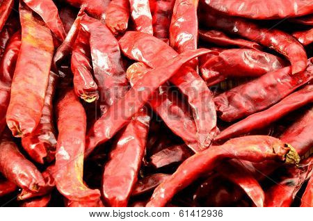 Group of red dry chili