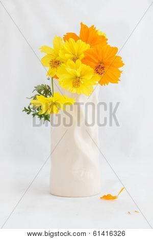 Cosmos Flower