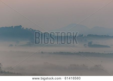 Sea Of Fog