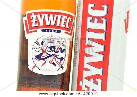 Zywiec beer isolated on white background