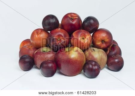 Fruit Mix
