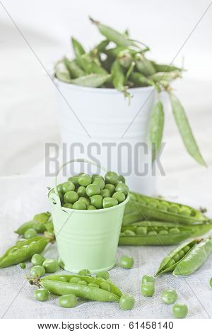 Grean Pea In The Buckets