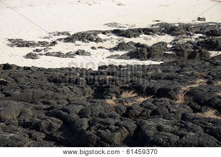 Black Basaltic Seaside In Jeju Island