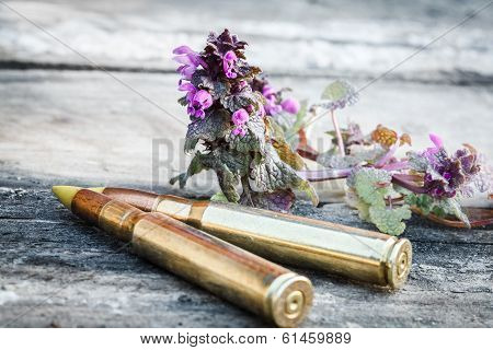 Bullets