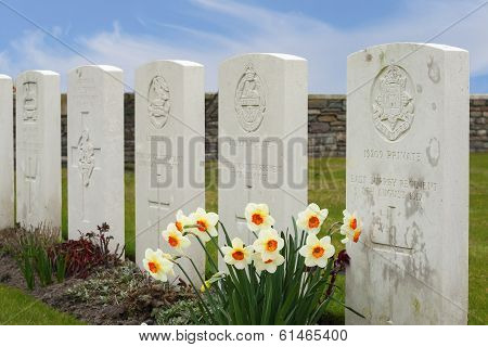 New British Cemetery In Flanders Fields Great World War