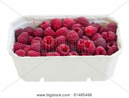 pack  of  fresh raspberry