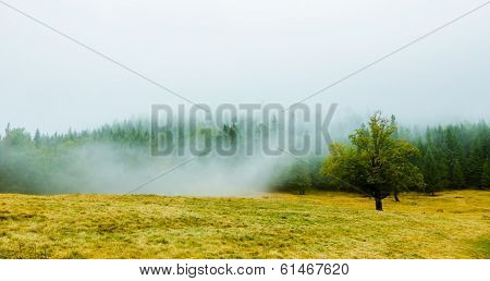 Scenic misty morning in the mountains landscape