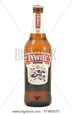 Zywiec beer isolated on white background