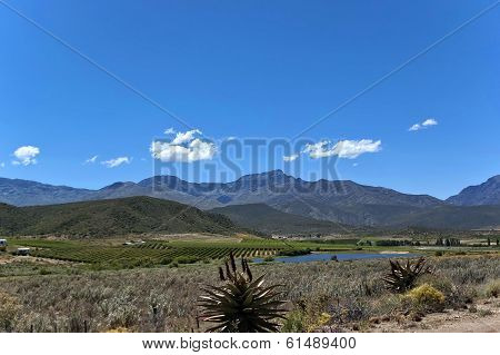 Tradouw pass in Western cape