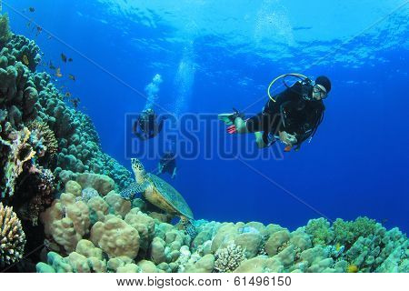 Scuba Diving