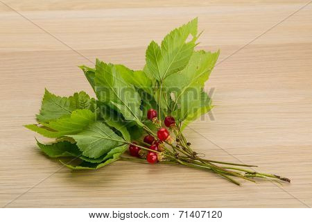 Stone Bramble