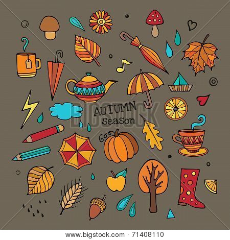 Vector set of different autumn elements
