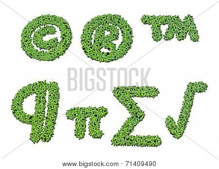 Collection Of Alphabet Letter Symbols From Duckweed Isolated On White Background