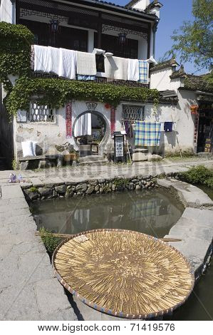 Bamboo Drying With House Behind