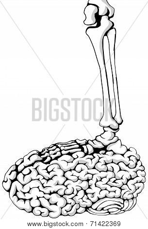 Skeleton Brain Step